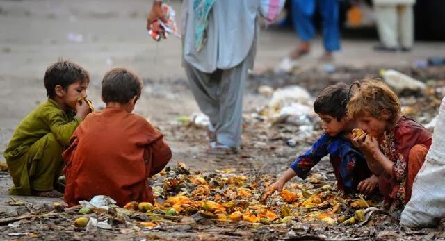 ~๑๑.1,3 Miliar Ton Makanan Terbuang Per Tahun di Dunia.๑๑~&#91;MIRIS GAN&#93;