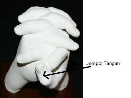 TES PENGACAU OTAK