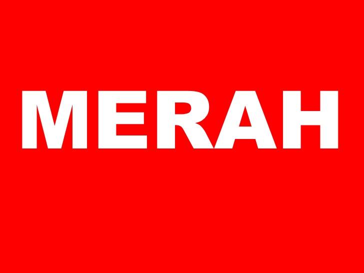 TES PENGACAU OTAK