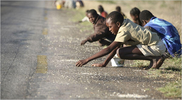 Kehidupan di zimbabwe sangat memprihatinkan, gan !