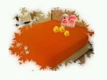 SPREI ANTI AIR KOREA