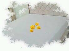 SPREI ANTI AIR KOREA