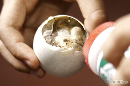 Cara Menikmati Balut (Janin Unggas), Camilan Khas Filipina!