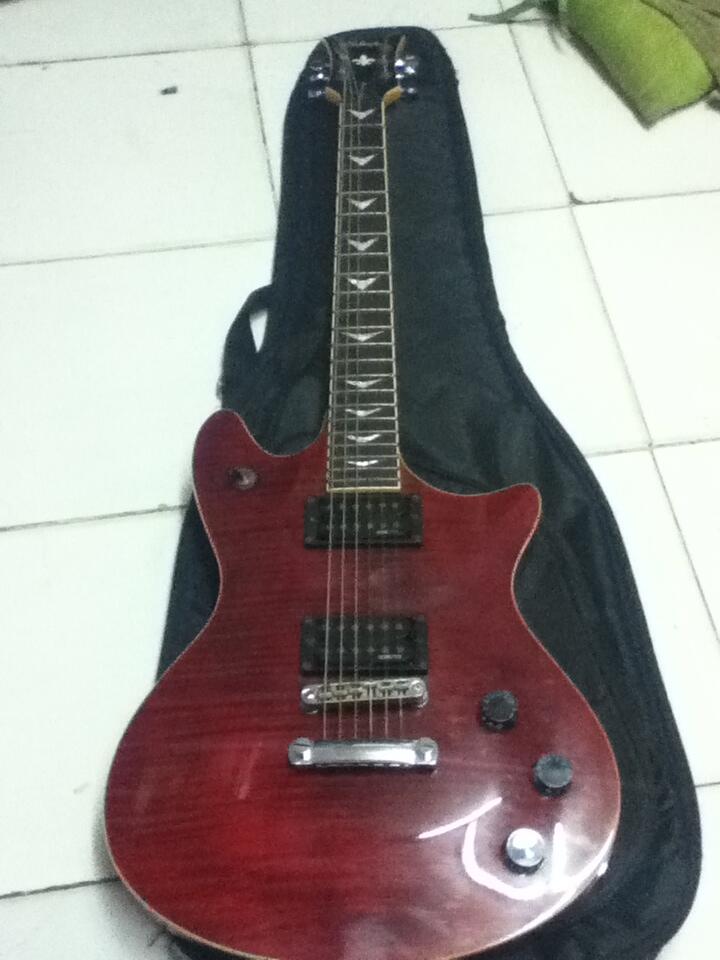 Gitar Schecter Diamond