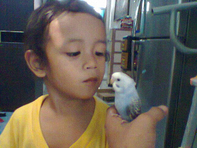 Parkit Murahhh