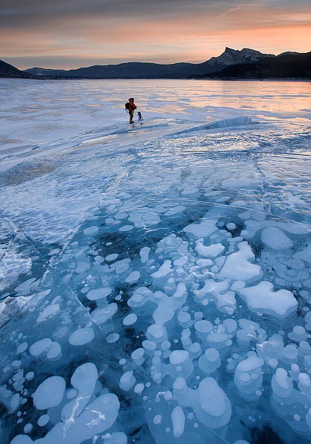 Frozen Air Bubbles in Abraham Lake, Canada. (awas BWK)