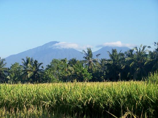 10 Destinasi Terbaik Indonesia