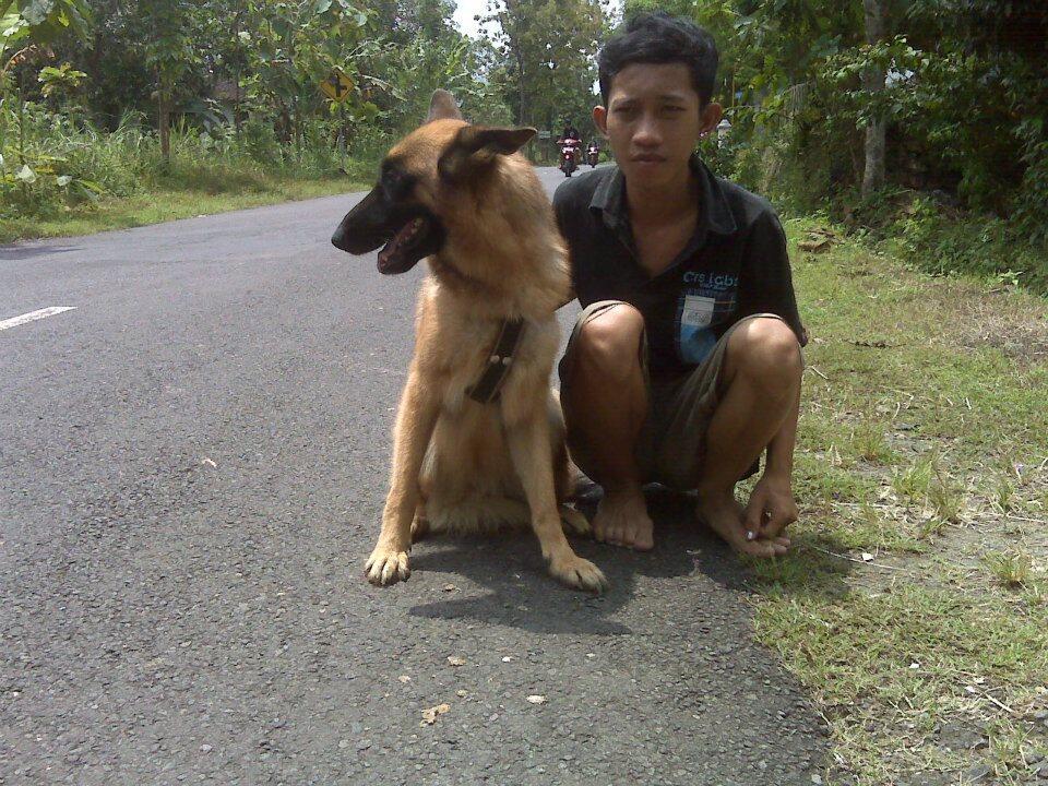PEPENG PENIPU !! &#91;PET GALERY / ANIMAL STORE / VIPER JAVA KENNEL&#93; YOGYAKARTA 