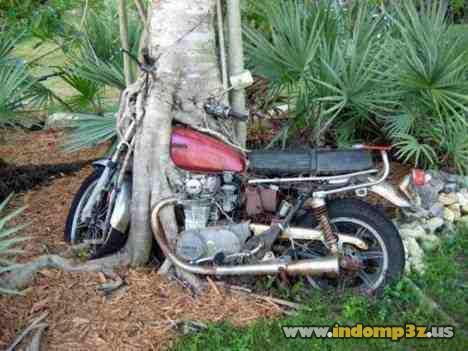 (pic) Akibat Parkir Motor Terlalu Lama 
