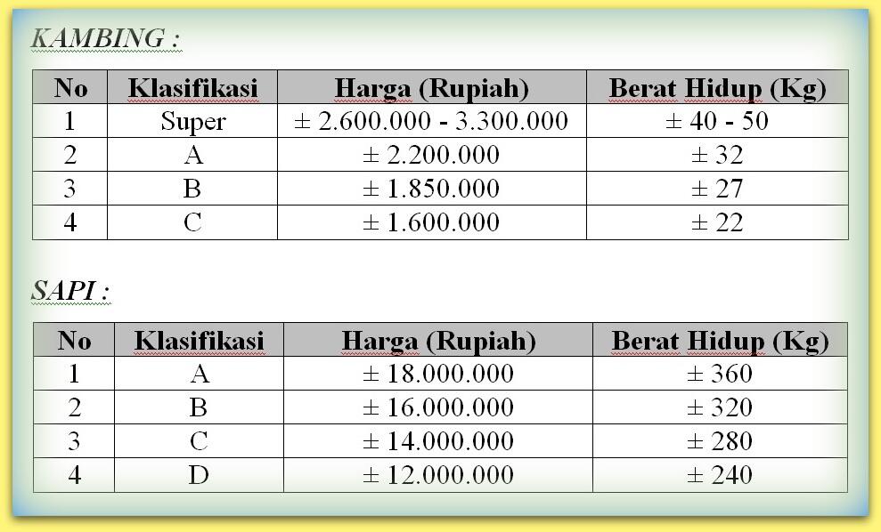 Contoh Surat Penawaran Hewan Qurban