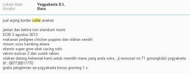 kaskus-image