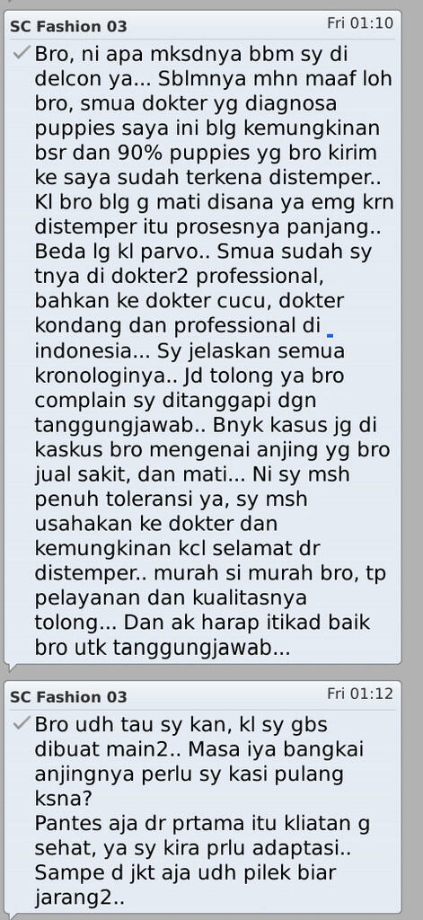kaskus-image