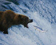 &#91;full pic&#93;Koleksi foto 125 tahun majalah National Geographic