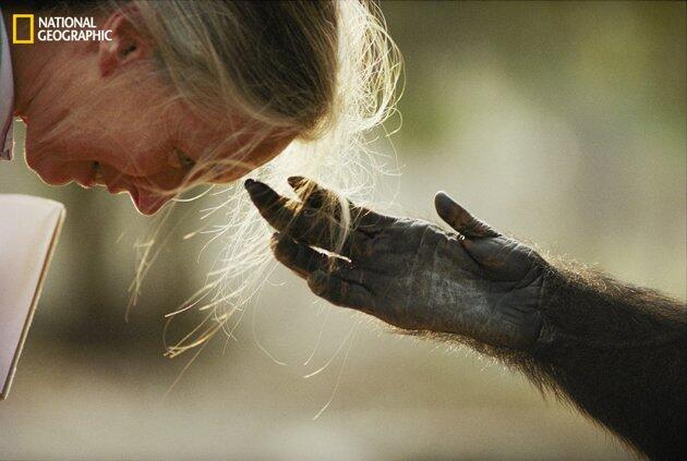 &#91;full pic&#93;Koleksi foto 125 tahun majalah National Geographic