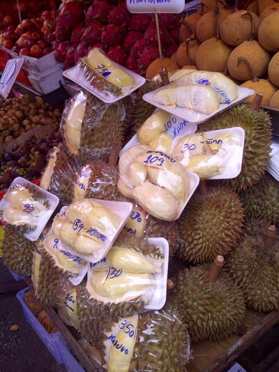 Durian murah