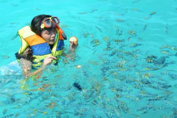 PROMO HARGA MURAH PAKET LIBURAN PULAU PANTARA