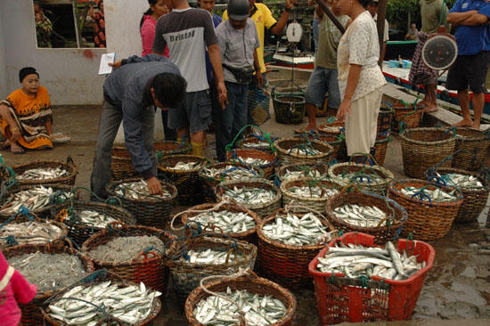 BUMN Ikan yang Sekarat Kini Raup Untung