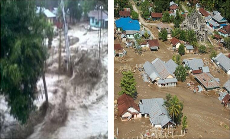 Manfaat Sebatang Pohon !!!! (Baca dan Renungkan)