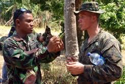 Kelelahan Jungle Survival di banyuwangi, 10 Prajurit AS dievakuasi