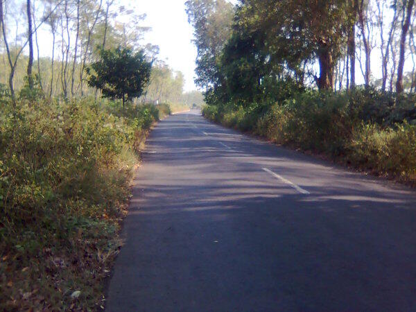 Terserah Imajinasimu (biker masuk)