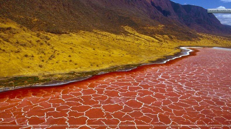 Di Danau Mematikan Ini, Semua Hewan Menjadi Batu