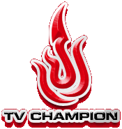 TV champion cake