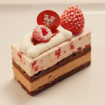 TV champion cake