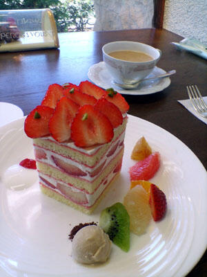 TV champion cake