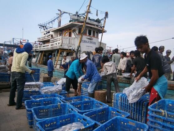 &#91;Foto&#93; Wajah Pelabuhan Muara Angke