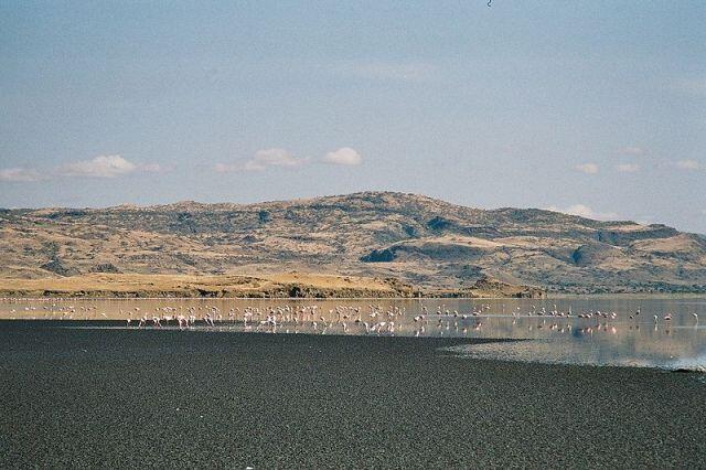  Lake Natron, Danau "Horor" di Tanzania. Merubah Burung Jadi Patung