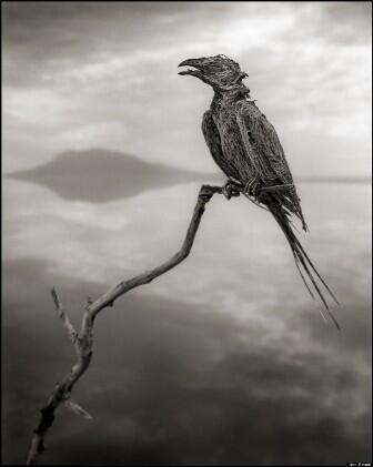  Lake Natron, Danau "Horor" di Tanzania. Merubah Burung Jadi Patung