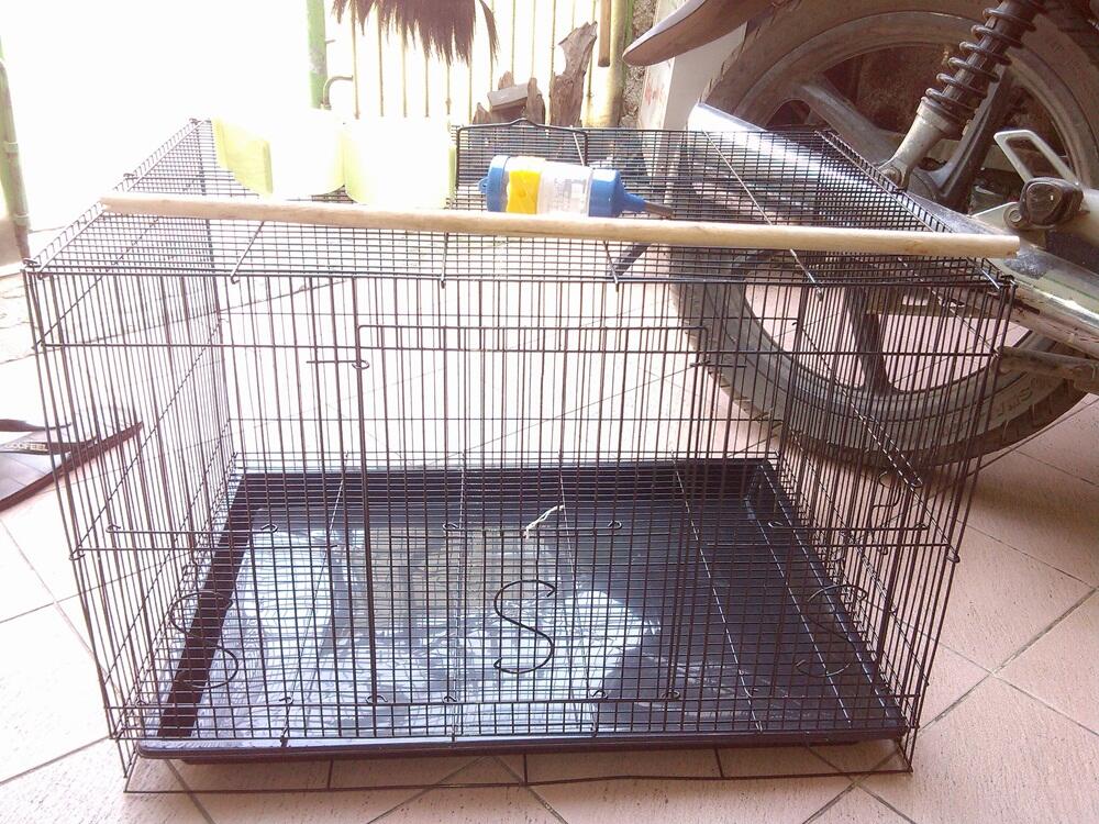 kandang kucing, kandang Sugar glider / burung, dan travel box