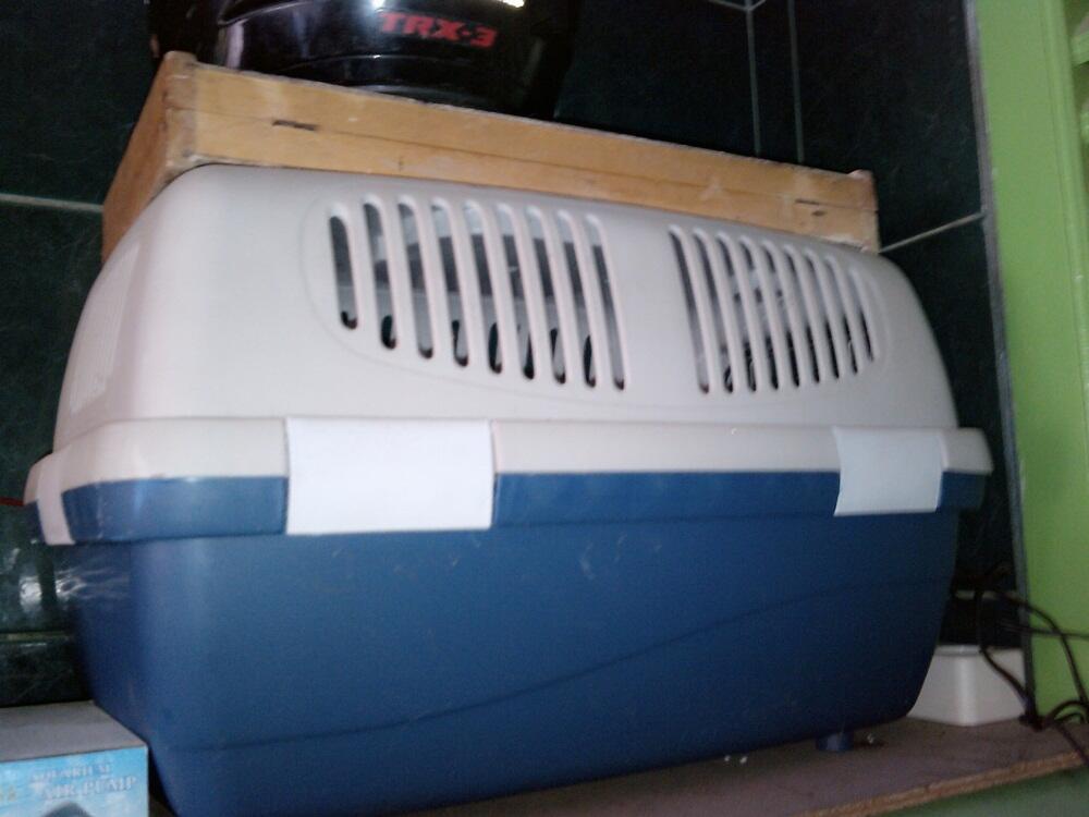 kandang kucing, kandang Sugar glider / burung, dan travel box