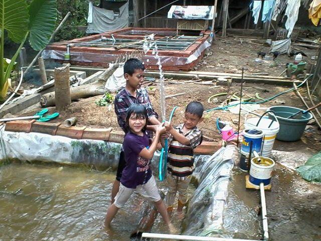 Kerjasama Budidaya Pembesaran Ikan Gurame