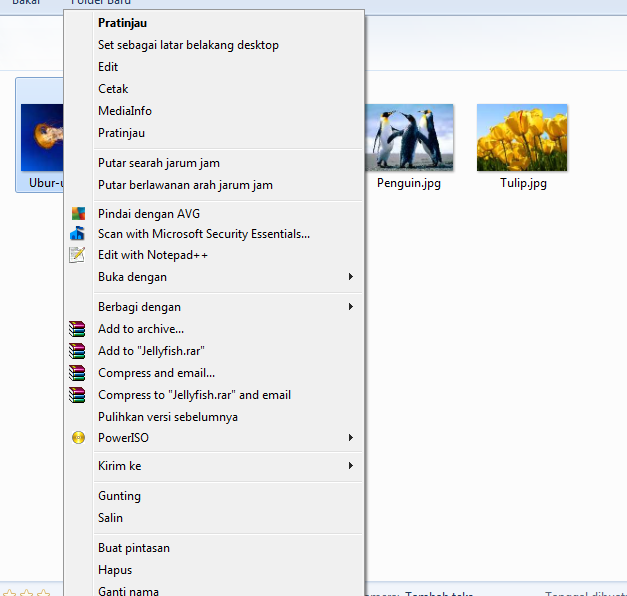 WINDOWS RASA LOKAL