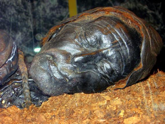 10 Mumi Paling Menarik dan Terkenal di Dunia