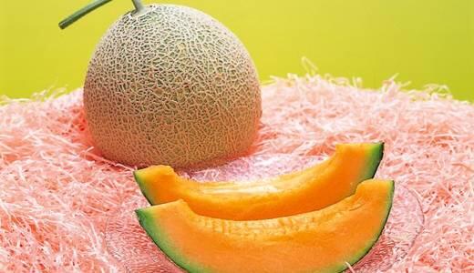 Buah Melon Ini Harganya Rp 260 Juta !