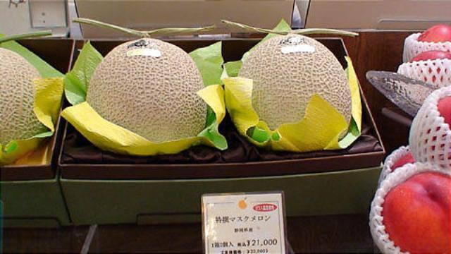 Buah Melon Ini Harganya Rp 260 Juta !
