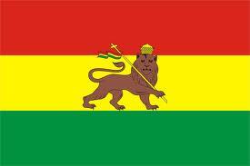 Reggae ternyata berasal dari Negera Ethiopia..