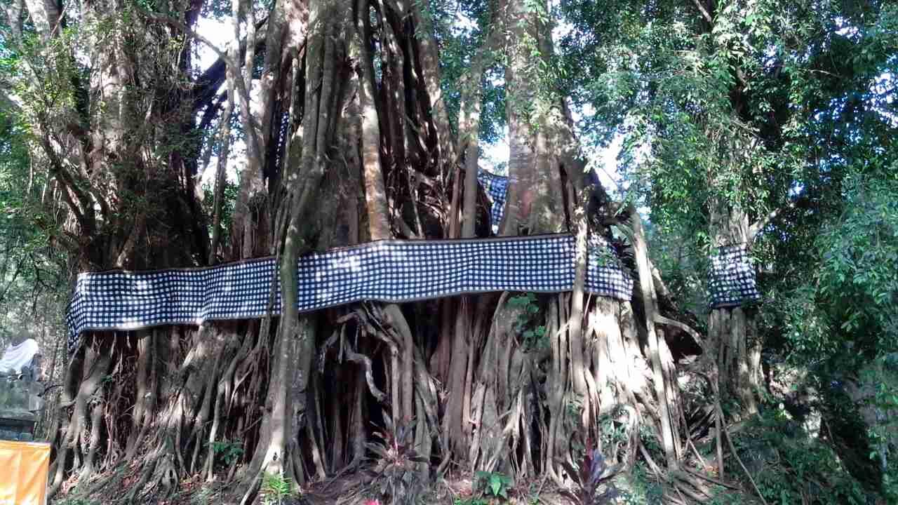 TEMPAT KERAMAT DAN BERSEJARAH DIBANYUWANGI