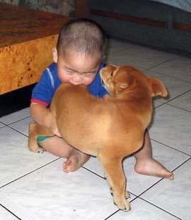 GIGIT ANJING!! ada yg salah? 