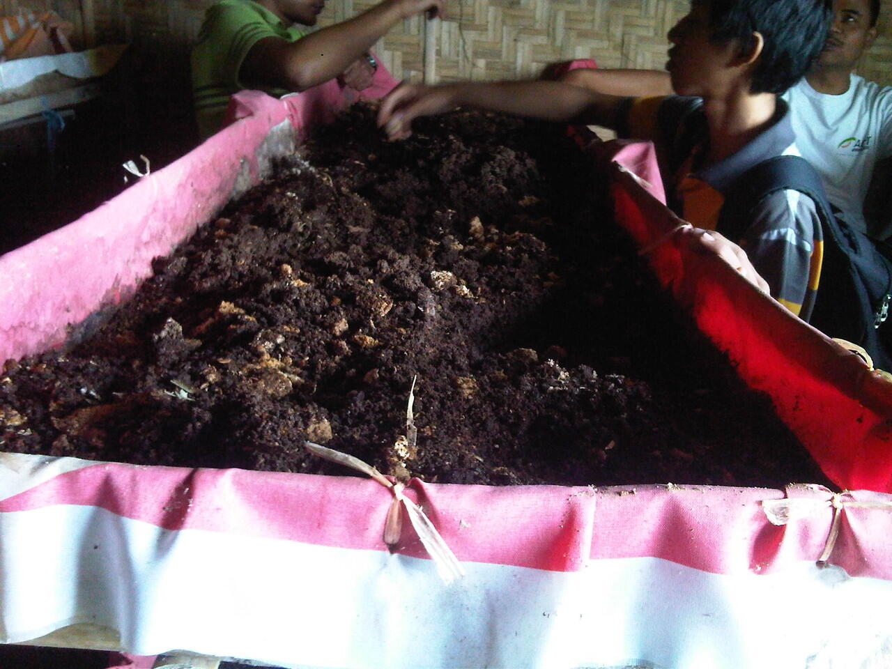 Manisnya Berbisnis Cacing Tanah