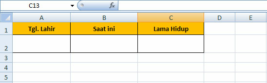 EXCEL : Bisa menghitung jumlah hari usia anda ( trik )