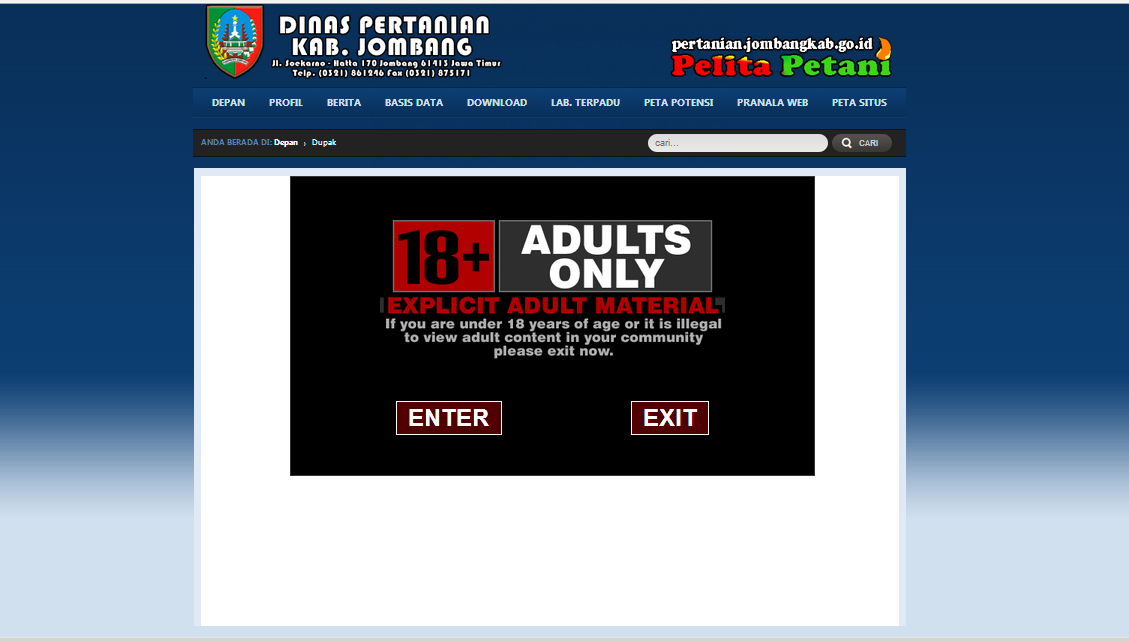 Website Pemerintah Kok gini??????? paraaah. . . 