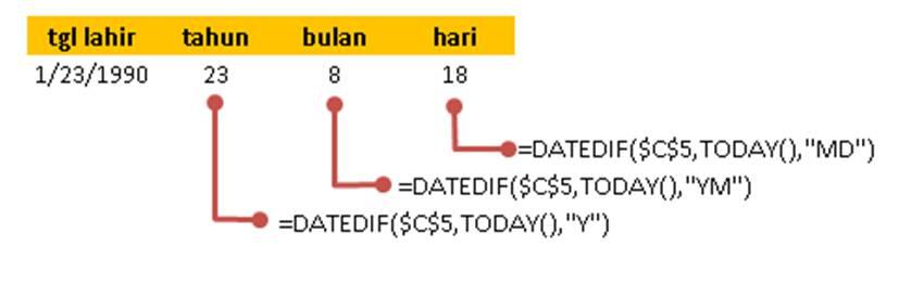 EXCEL : Bisa menghitung jumlah hari usia anda ( trik )