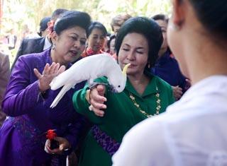 Fakta unik: Apec 2013, Bali