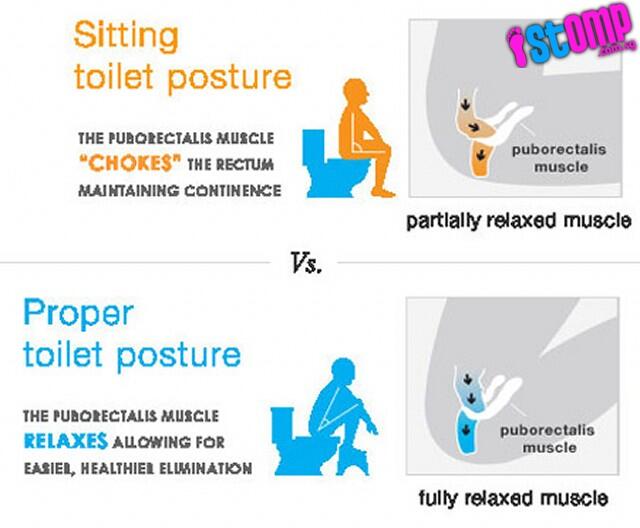 Toilet Jongkok Lebih Sehat Dari Toilet Duduk?