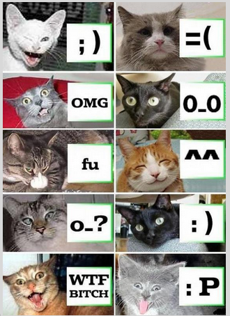 EMOTICON KUCING