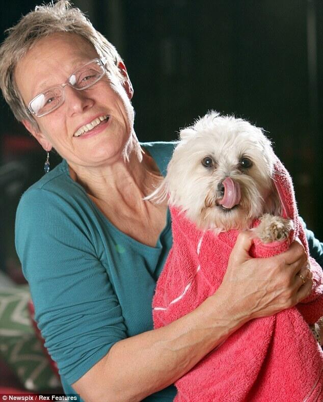 Pria Indonesia yg Hebat !!! menyelamatkan seekor anjing di Aussie