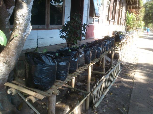 Manfaatkan Pekarangan Rumah Agan Dengan Tanaman Organik